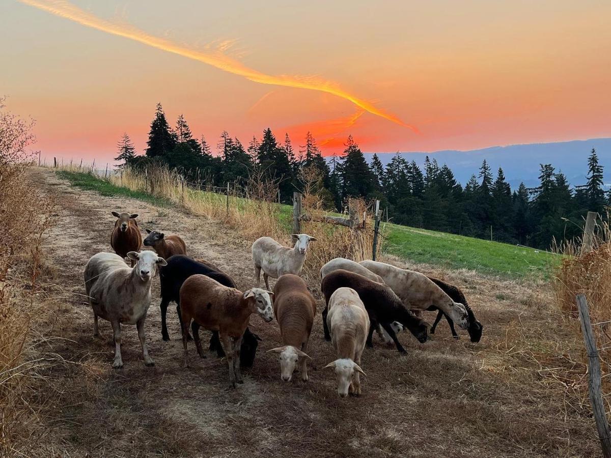 Sakura Ridge The Farm & Lodge Hood River Exteriér fotografie